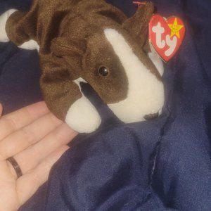 1997 Bruno beanie baby